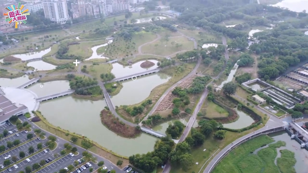 【遊走大灣區】搶登「光明頂」遊石岩濕地公園 賞花觀白鷺