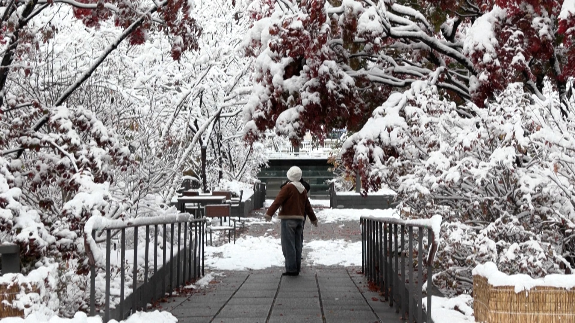 短片：首爾周三積雪量超16厘米刷新紀錄　至少12航班取消