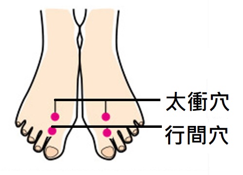立春節氣2026｜護肝茶飲與穴位按摩養生法